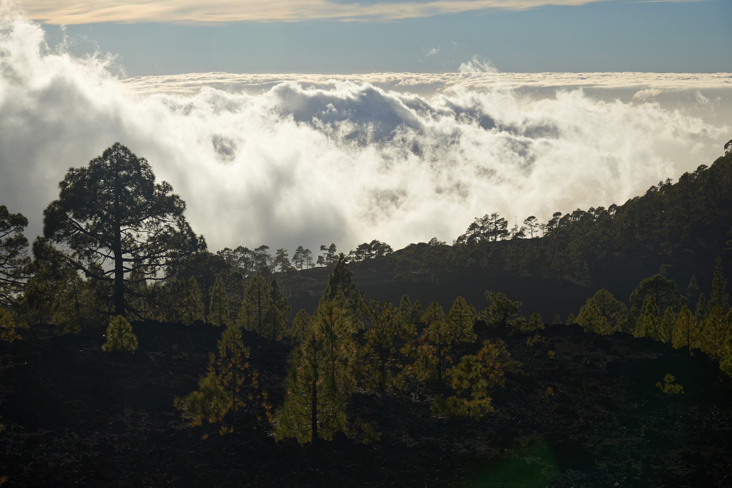 Qué ver en Santa Cruz de Tenerife en un día de crucero 2 El volcán Teide entre las nubes, visible desde el puerto de Santa Cruz