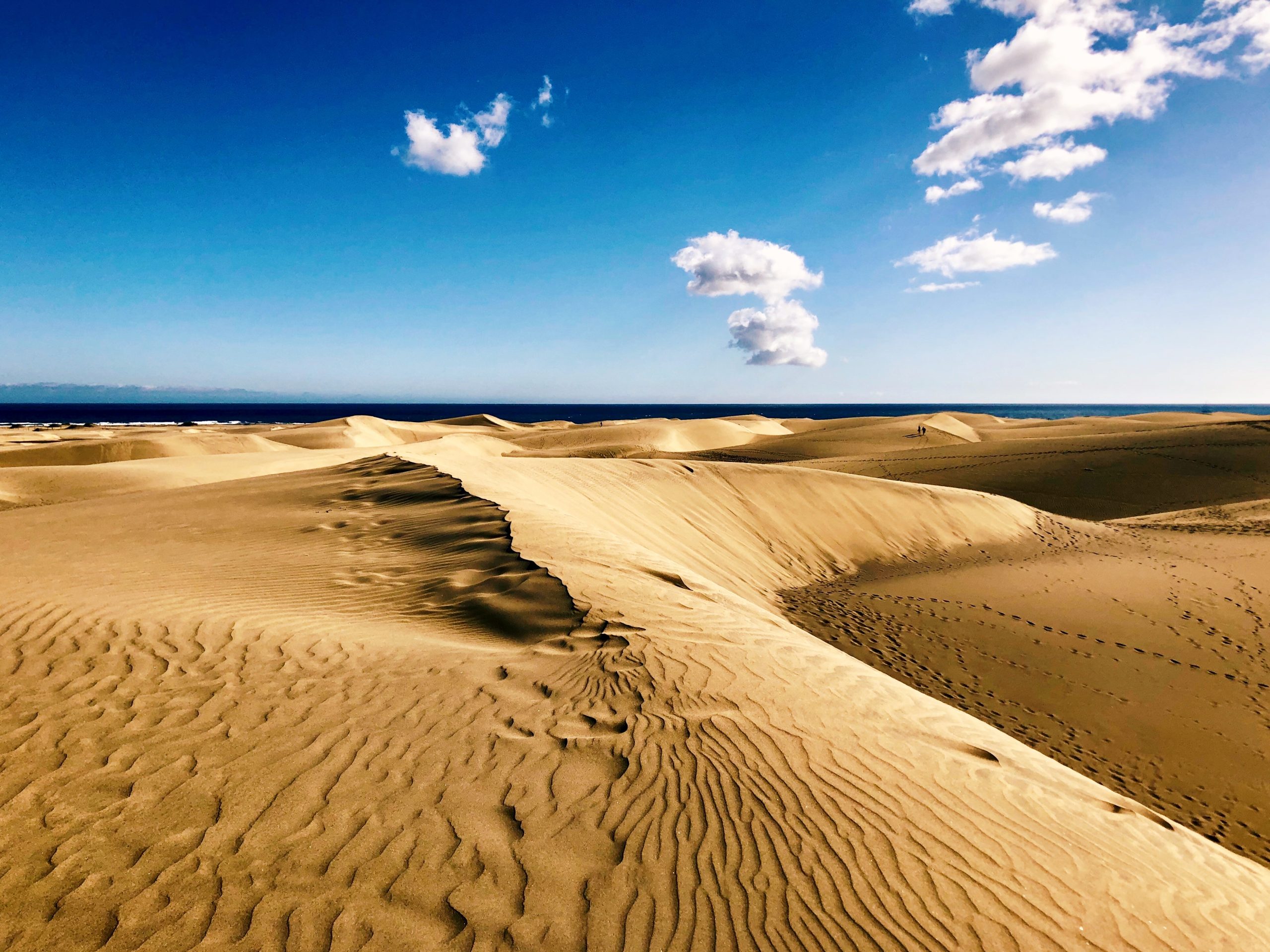 Qué ver en Las Palmas de Gran Canaria en un día de crucero 7 Las Dunas de Maspalomas, un pequeño Sáhara de arena fina junto al Atlántico en Gran Canaria