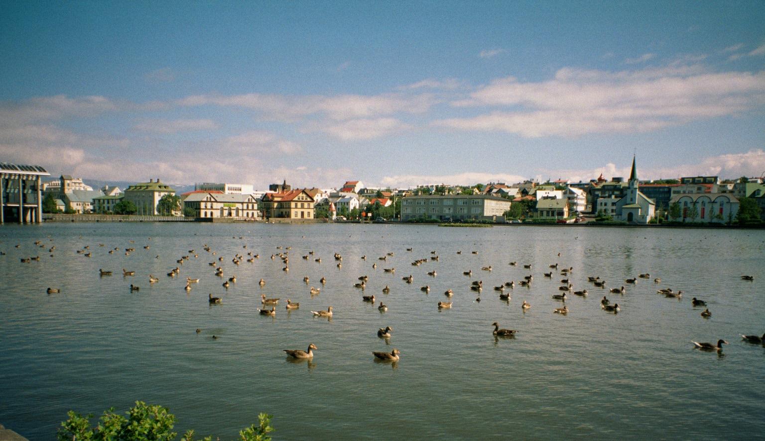 Qué ver en Reikiavik en un día de crucero 5 El lago Tjörnin en el centro histórico de Reikiavik